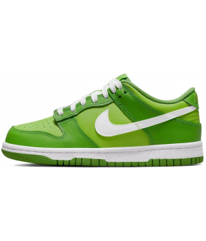 Nike Air Force 1 SB Dunk Low Kermit